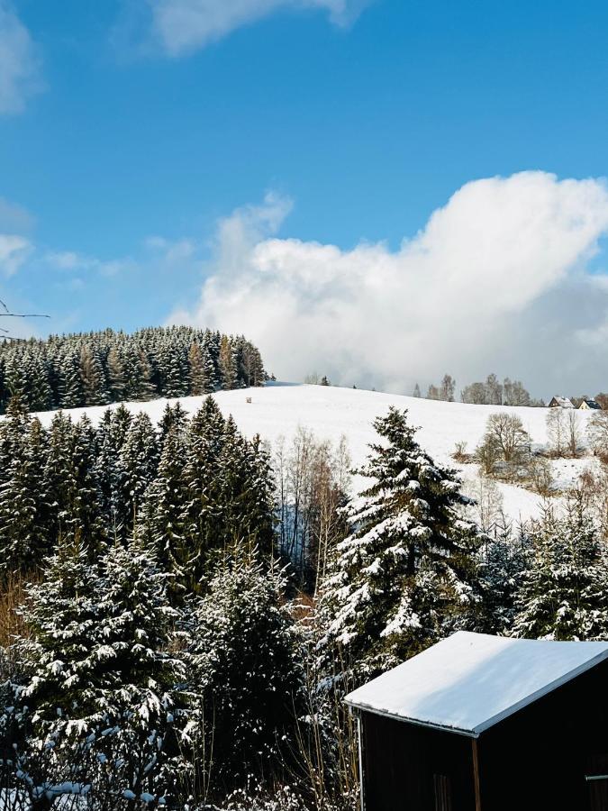 Fewo - Bergblick Klingenthal Kültér fotó